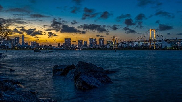 足利の藤と夜景を巡る幻想的な春旅モデルコース【2026年版】