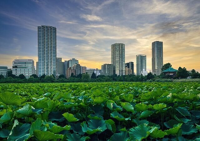 夏至の東京を最大限に楽しむ！2026年「June Solstice」満喫ガイド