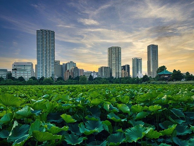 夏至の東京を最大限に楽しむ！2026年「June Solstice」満喫ガイド