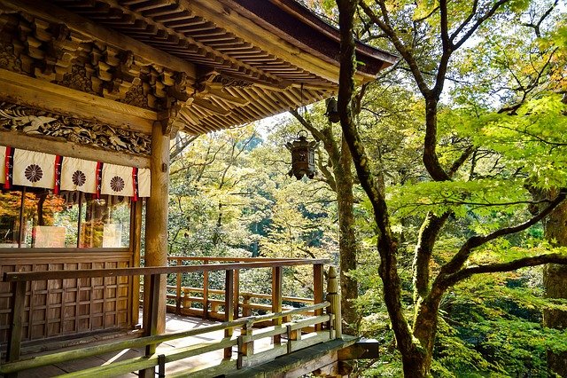 文化の日を楽しむ！京都ゲストハウスオーナーが教える過ごし方ガイド【2026年】