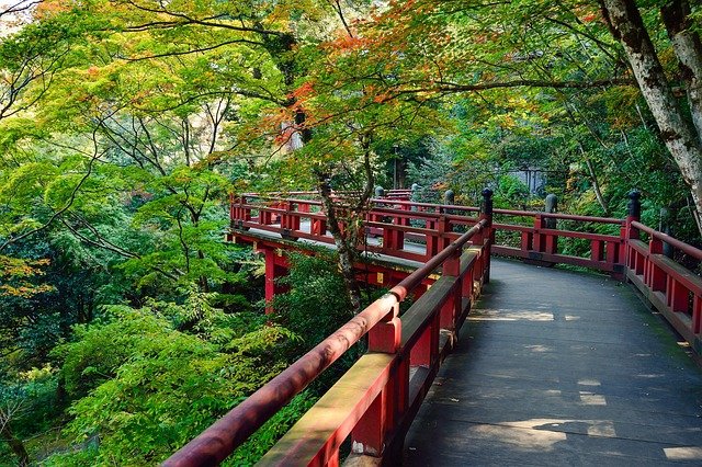 勤労感謝の日2026：京都ゲストハウスオーナーが教える過ごし方